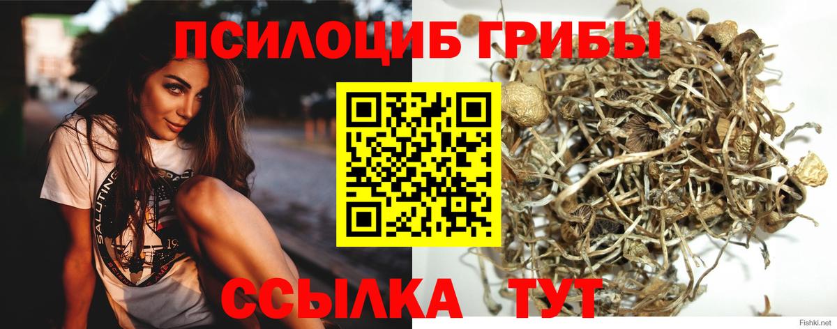 Ноябрьск  Галлюциногенные грибы мухоморы  Псилоцибиновые грибы Psilocybe  Вход с VPN 